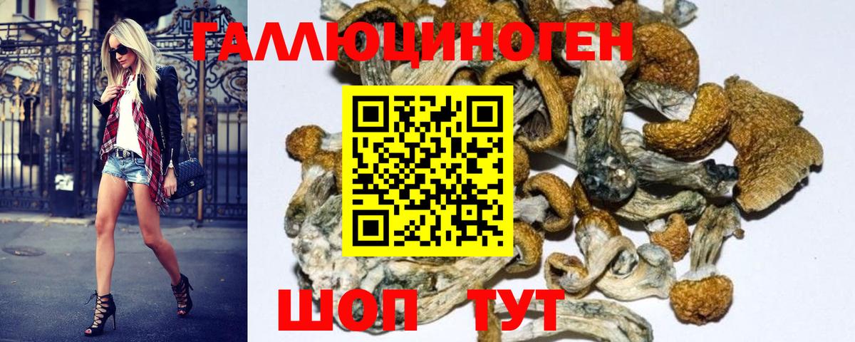 Галлюциногенные грибы GOLDEN TEACHER Шелехов